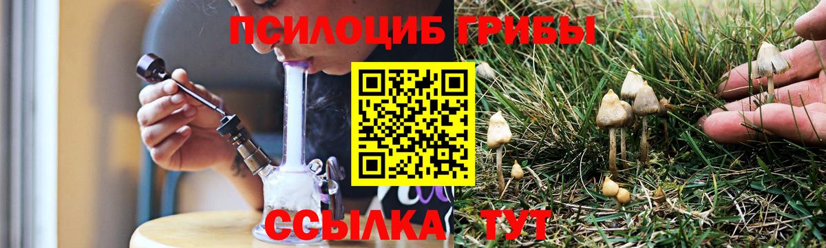 Галлюциногенные грибы Psilocybine cubensis  Вход с VPN  Кизляр  наркошоп  Галлюциногенные грибы мухоморы 