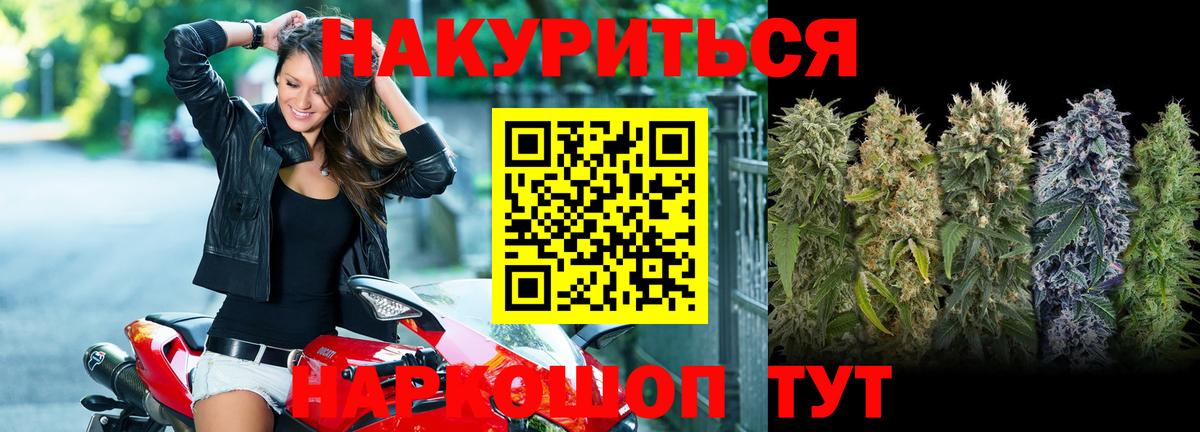 Бошки марихуана тримм  Вход с VPN  Кизляр  Конопля гибрид 